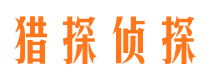 金湖市私家侦探